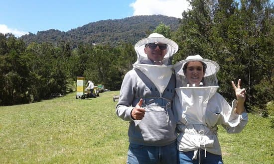 Visitantes observando colmena