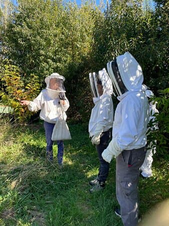 Experiencia Apícola Guiada