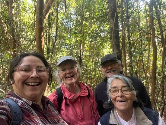 Tour por el Bosque y colmenas