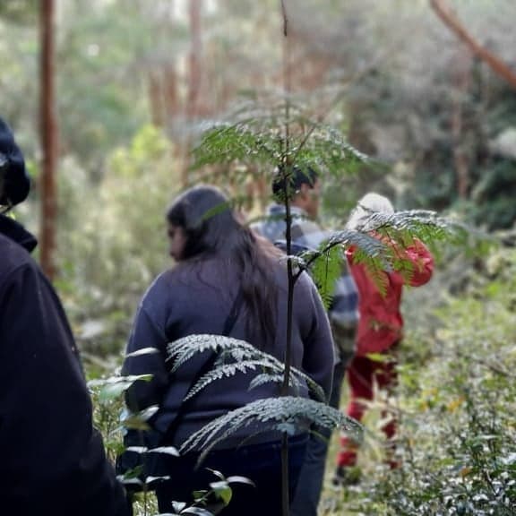 Sendero Interpretativo Selva Patagónica