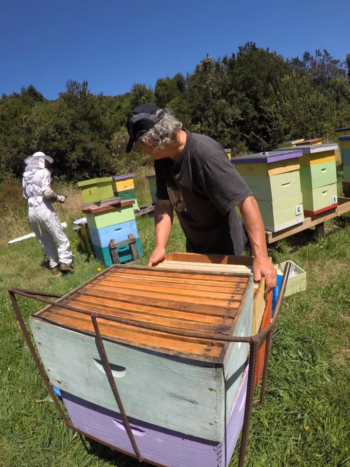 Apicultores en Rio Puelo