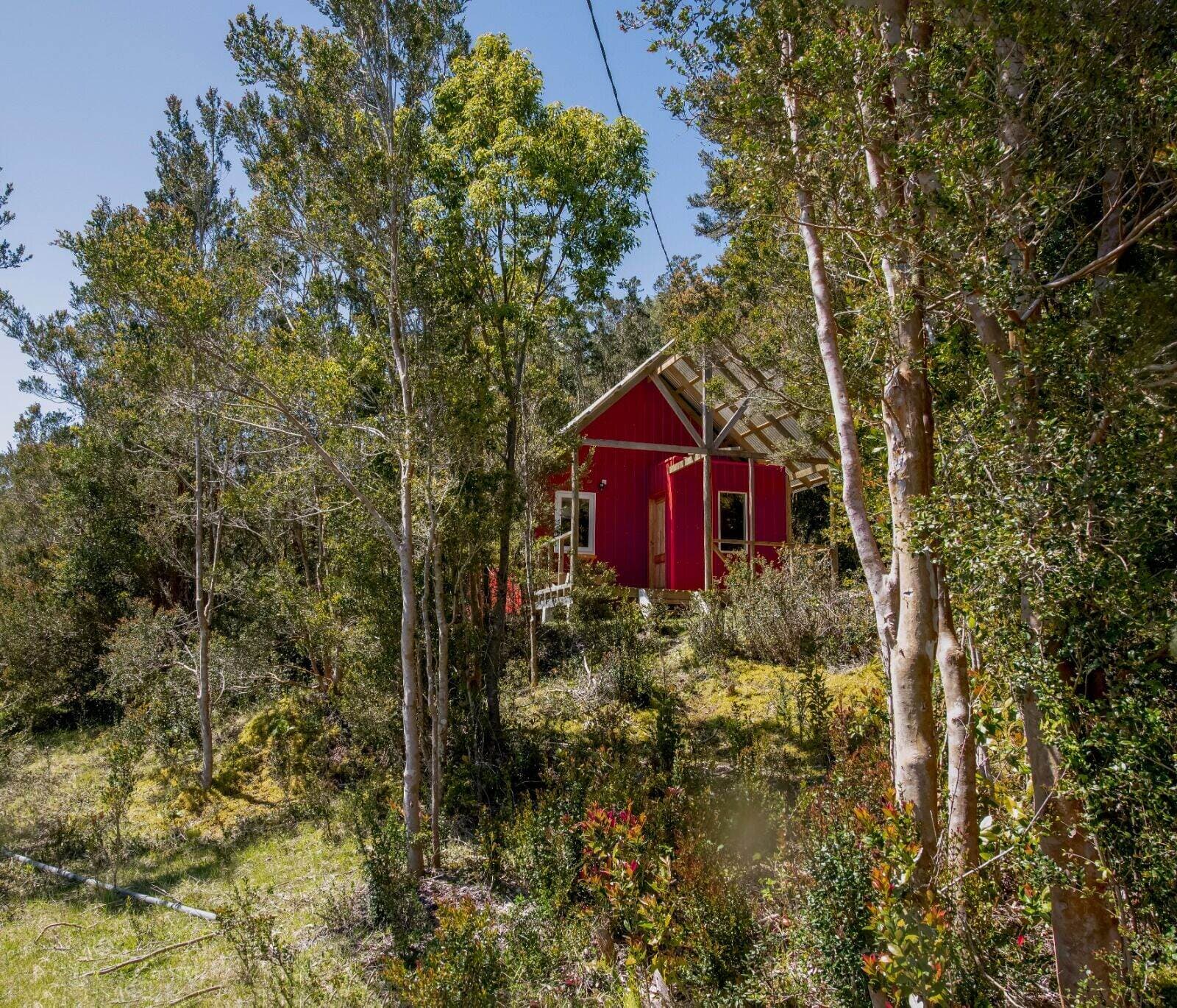 Cabaña Raymapu entre el bosque nativo