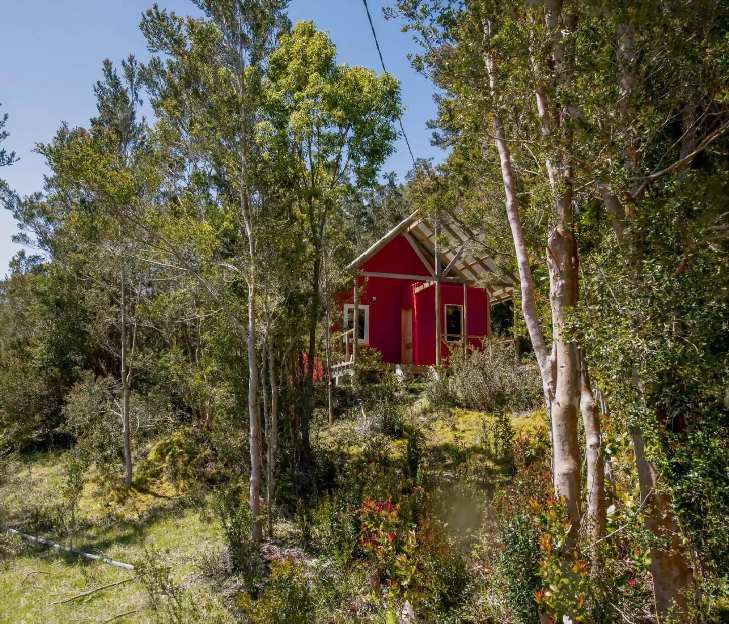 Cabaña Raymapu entre el bosque nativo